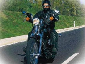 HD_springer_softail_2_550.jpg